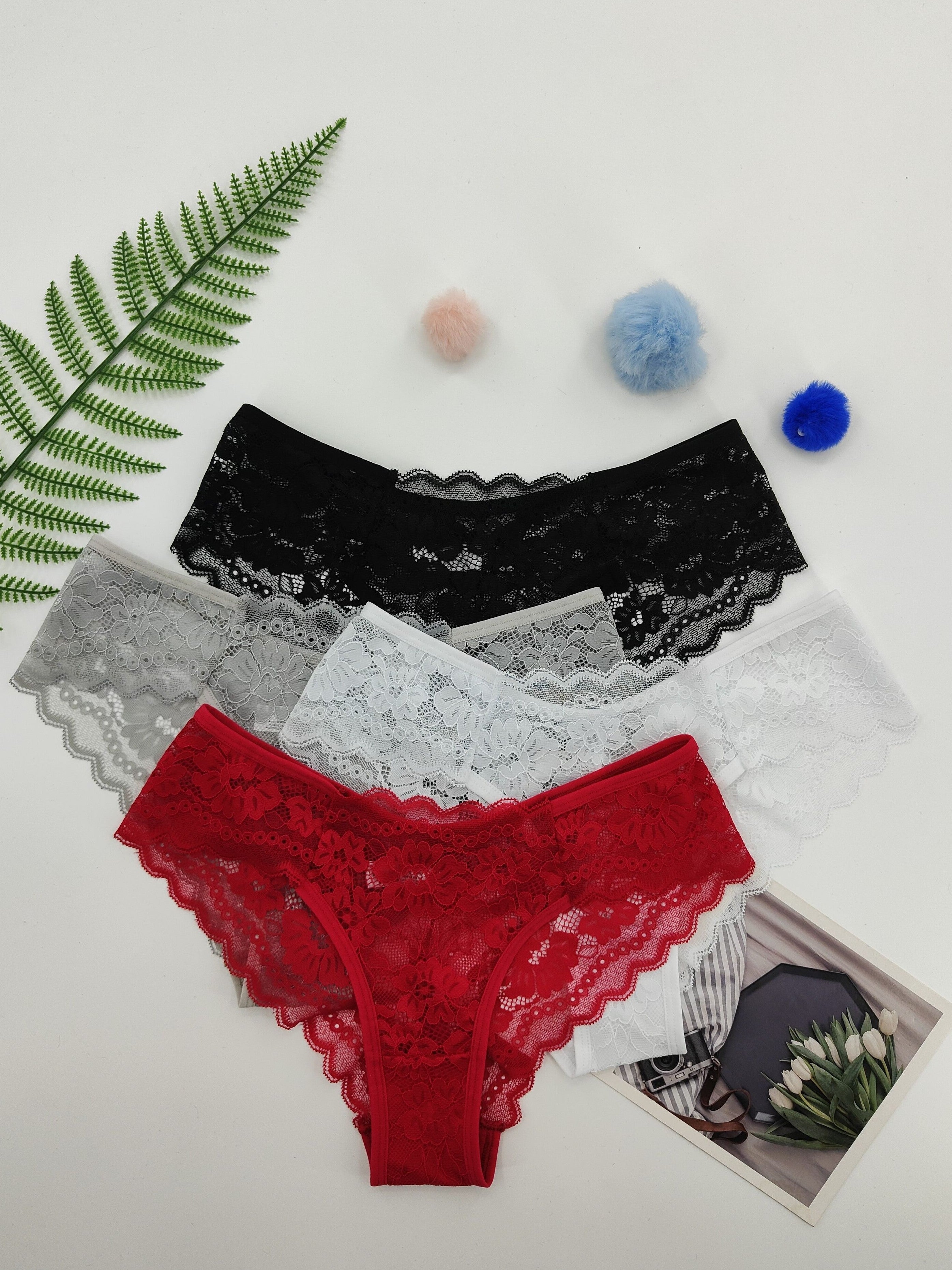 Low Rise Panties | 4PCS Women's Sheer Panties | My Lingerie 4U