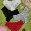 Low Rise Panties | 4PCS Women's Sheer Panties | My Lingerie 4U